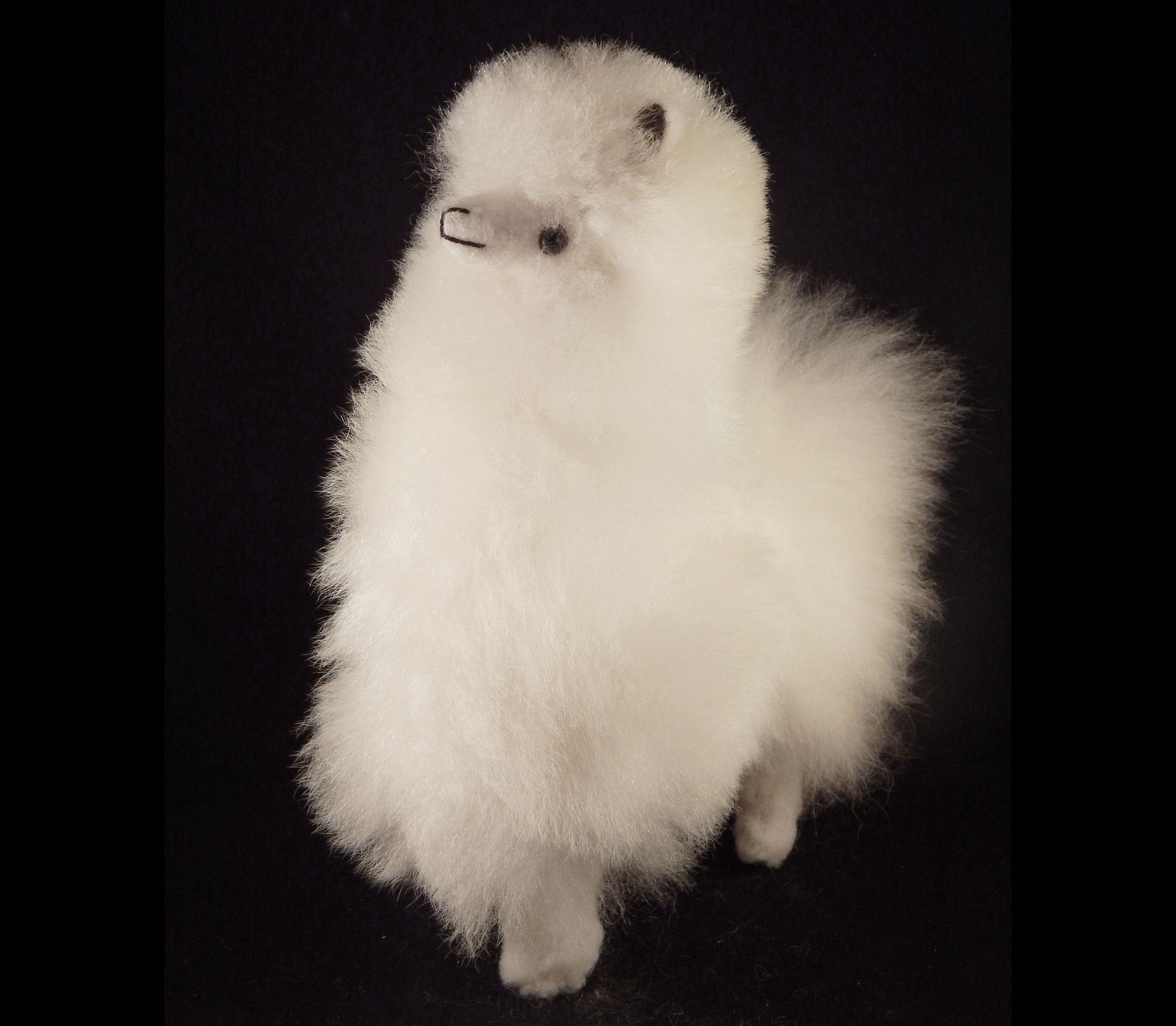 fluffy baby alpaca