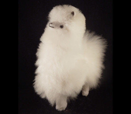 Cute Baby Alpaca Plush 10" 100% Handmade Super Soft Fluffy Adorable Wool Stuffy White